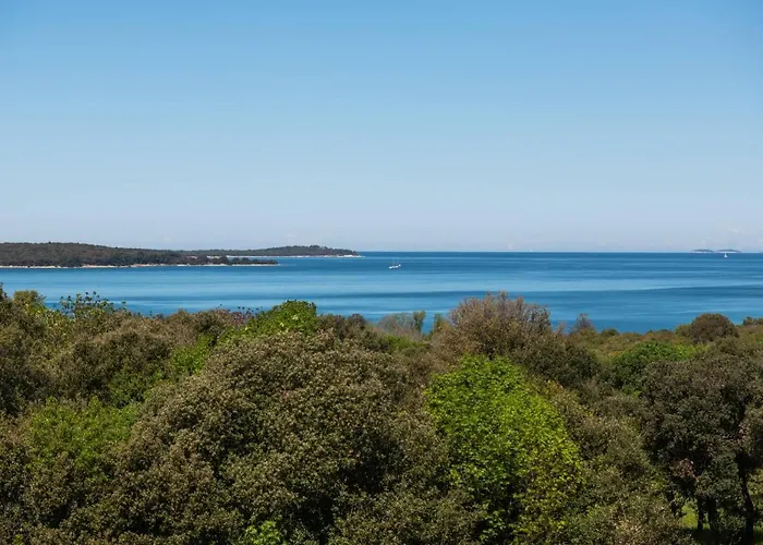 Dream Lounge With Sea View アパート *