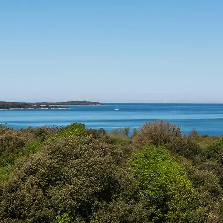 Dream Lounge With Sea View 아파트 *